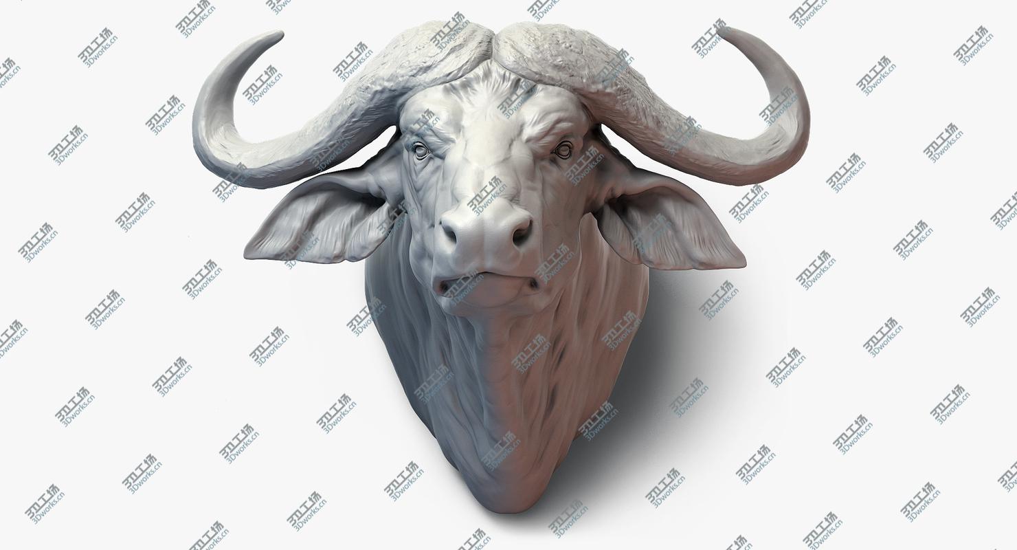 images/goods_img/202104094/Cape Buffalo Head Sculpture 3D model/1.jpg